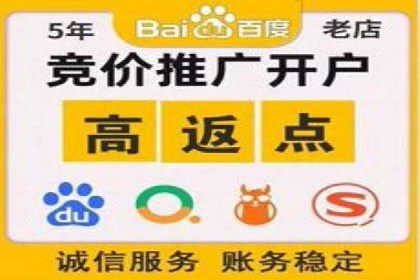 行业领先企业如何运用SEM进行精准营销